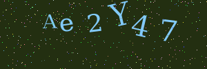 Validation image